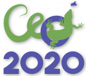 CEOI 2020 logo